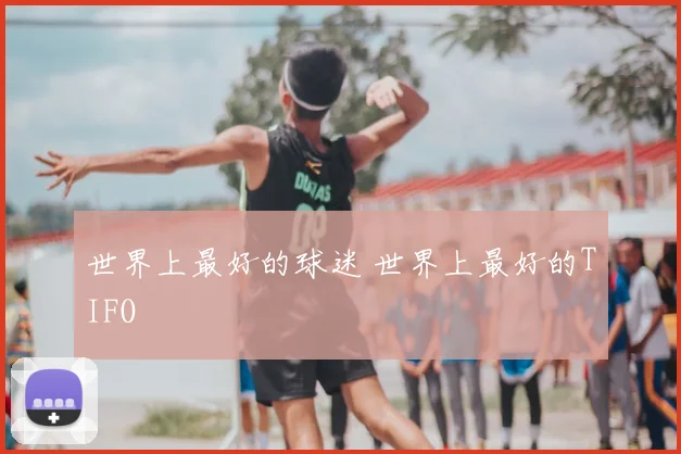 世界上最好的球迷 世界上最好的TIFO