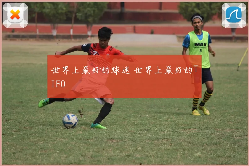 世界上最好的球迷 世界上最好的TIFO